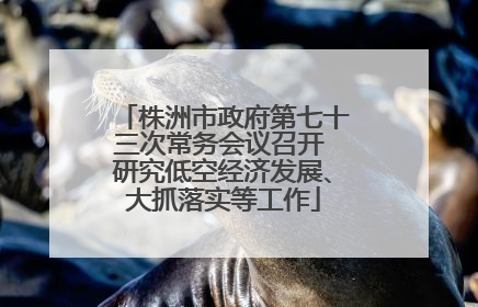 株洲市政府第七十三次常务会议召开 研究低空经济发展、大抓落实等工作